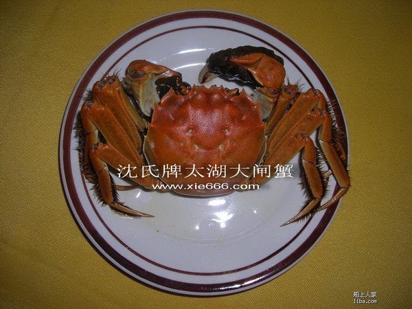 供应太湖大闸蟹